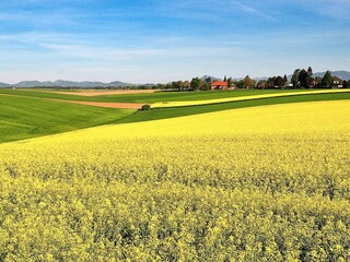 Ferienhaus Kivik  10