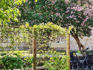 Holiday house Kivik Outdoor Recording 7