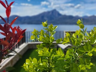 Vakantiehuis Torri del Benaco Buitenaudio-opname 39