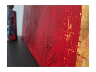 Casa per le vacanze Torri del Benaco Caratteristiche 18