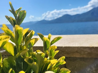 Ferienhaus Torri del Benaco Außenaufnahme 13