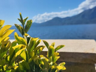 Vakantiehuis Italien Buitenaudio-opname 6
