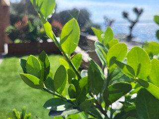 Maison de vacances Italien Enregistrement extérieur 7