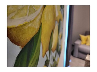 Casa de vacaciones Torri del Benaco Características 15