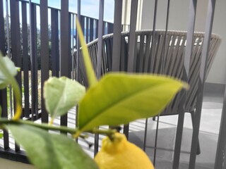 Casa de vacaciones Torri del Benaco Grabación al aire libre 12