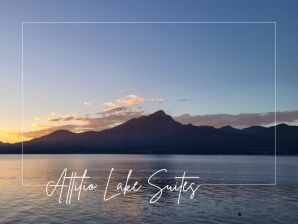 Attilio high living Suites - Olive Métal