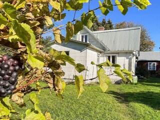 Vakantiehuis Löttorp Buitenaudio-opname 6