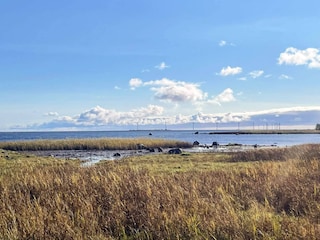 Vakantiehuis Löttorp  14