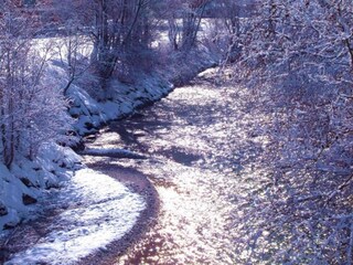 Appartement Neustift im Stubaital Environnement 29