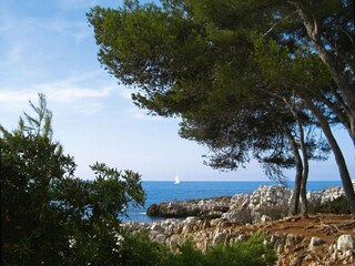 Apartamento Antibes Entorno 25