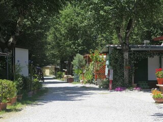 Parque de vacaciones Ameglia Grabación al aire libre 6