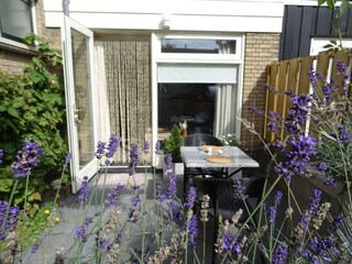 Vakantieappartement Callantsoog Buitenaudio-opname 2