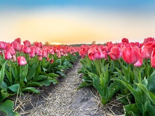 Appartamento per vacanze Callantsoog Ambiente 22