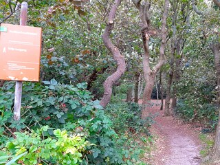 Appartamento per vacanze Callantsoog Ambiente 24