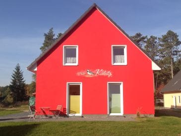 Ferienhaus Haus Kiebitz