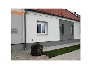Ferienwohnung Gols Außenaufnahme 5