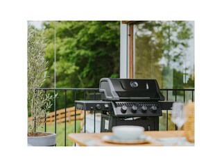 Griller