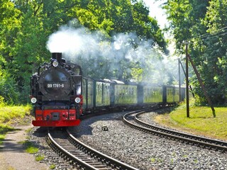 Schmalspurbahn Rasender Roland