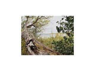 Vakantiehuis Granzow Omgeving 31