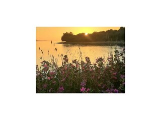Vakantiehuis Sali  48
