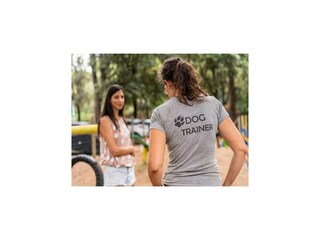 Caravan Jesolo  35