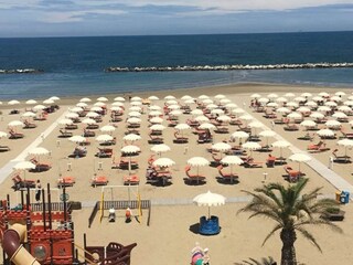Trailer Rimini (Stadt) Environment 50