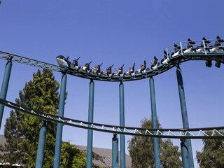 Vakantiehuis Breskens Omgeving 2