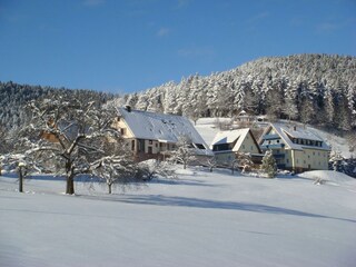 Winteransicht