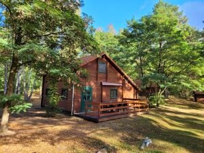 Ferienhaus mit Sauna und Boot am See "C" - Rheinsberg - Fürstenberg - image1