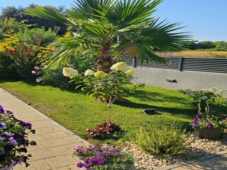 Villa Zaton (Nin) Enregistrement extérieur 15