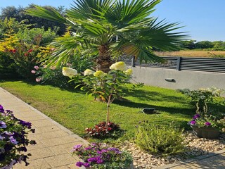 Villa Zaton (Nin) Enregistrement extérieur 17