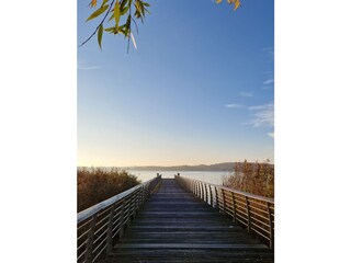 Schlei