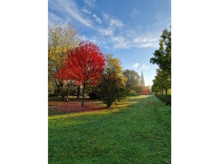 Herbstzauber
