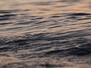 Apartment Am schwarzen Busch Environment 25