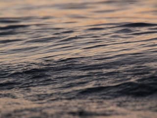 Apartment Am schwarzen Busch Umgebung 23