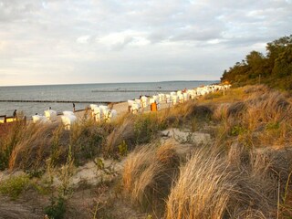 Apartment Am schwarzen Busch Umgebung 26