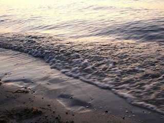 Apartment Am schwarzen Busch Environment 19