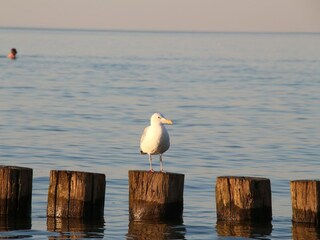 Apartamento Am schwarzen Busch Entorno 28