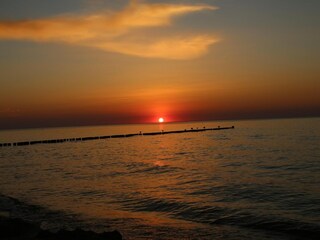 Apartment Am schwarzen Busch Environment 37