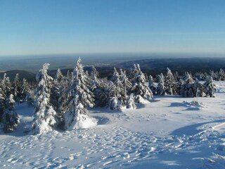 Blick vom Brockenplateau