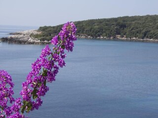 Appartamento Molunat Ambiente 43