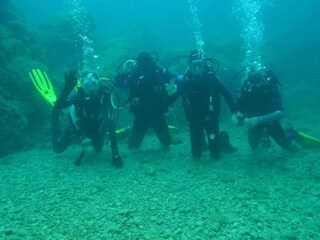 Appartement Molunat Omgeving 41