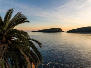 Appartement Molunat Omgeving 21