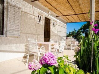 Apartment Molunat Outdoor Recording 2