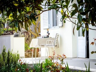 Apartment Molunat  10