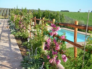 Vakantiepark Montalto Di Castro Buitenaudio-opname 18