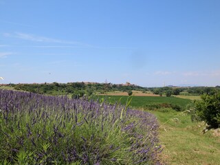 Vakantiepark Montalto Di Castro Buitenaudio-opname 10