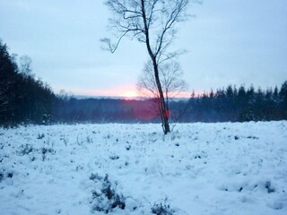 Parc de vacances Elst Environnement 21