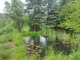 Parc de vacances Elst Environnement 16