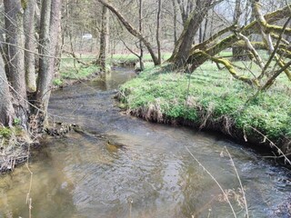 Vakantiepark Elst Omgeving 11